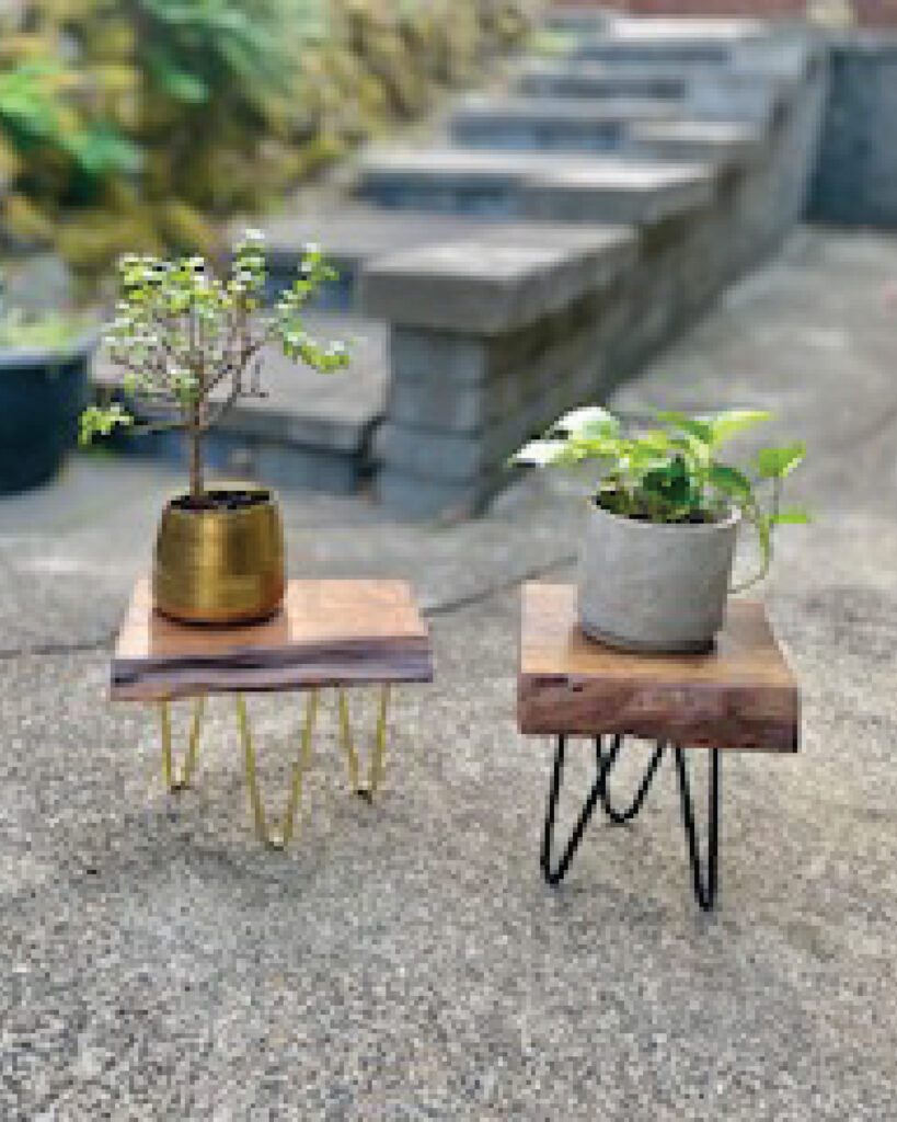Tiny Acorn